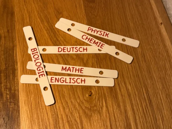 https://makerworld.bblmw.com/makerworld/model/USae736f605e26f0/design/d57dac22c9fd7604.jpg