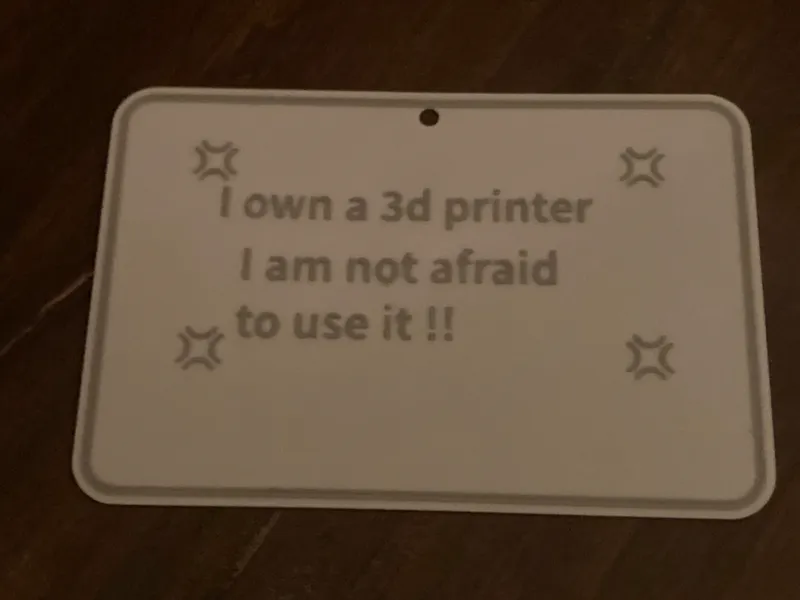 funny 3D printer sign 