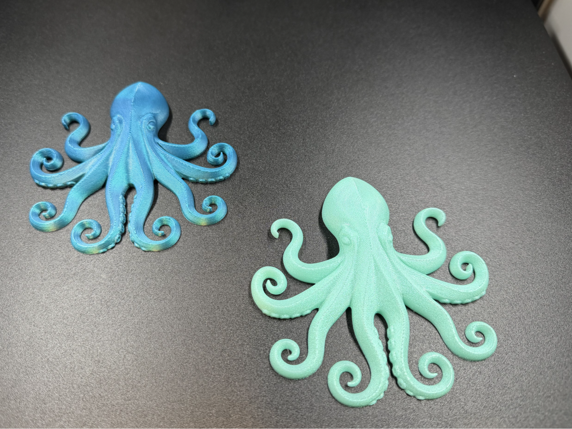 Decorative Octopus | No-Support | Fast Print