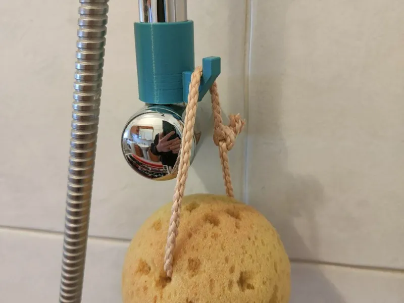 Shower hook