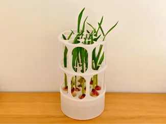 蒜苗 水培盒+支架