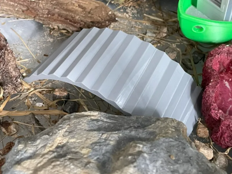 bridge for lizard
