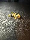 0.2mm layer, 2 walls, 5% infill