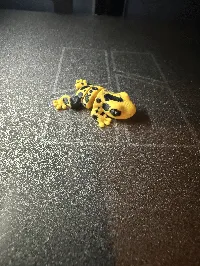0.2mm layer, 2 walls, 5% infill