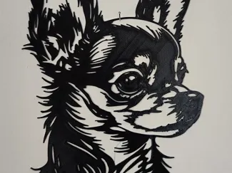 Chihuahua Falikép