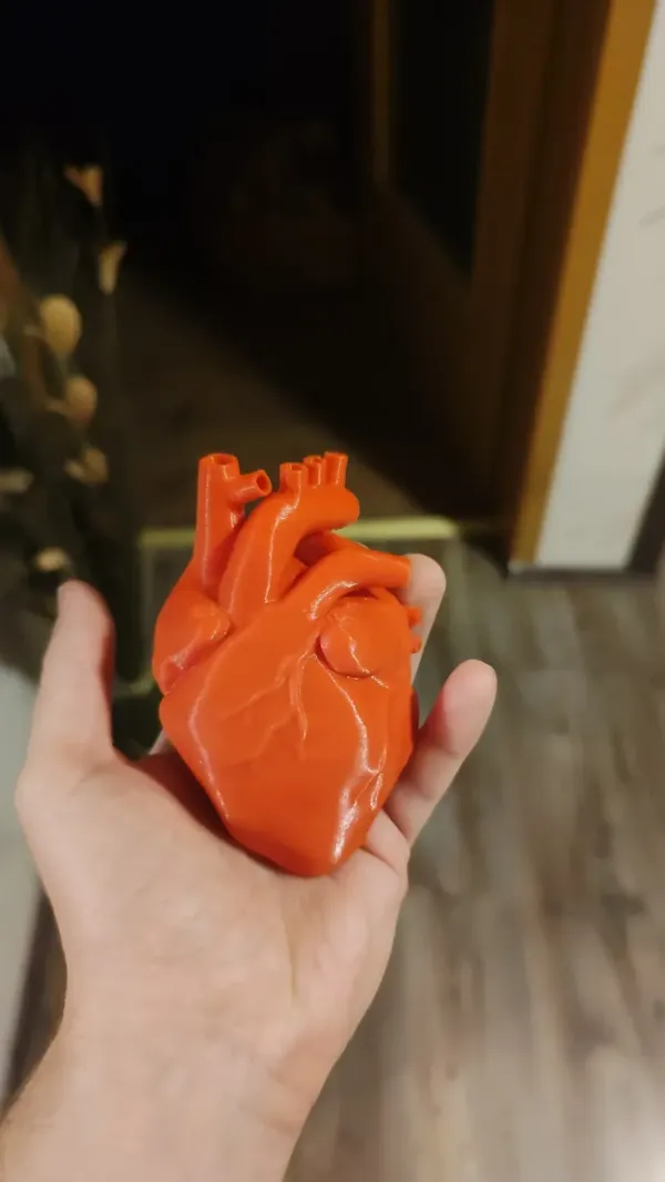 https://makerworld.bblmw.com/makerworld/model/USae8680ba785c24/design/2024-01-22_2718a8d8512dd.webp