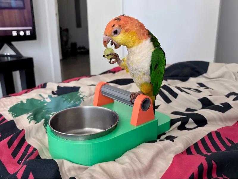 "Big Bird Cup" Holder | Parrot Feeding Bowl