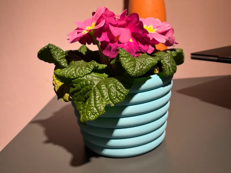 Flower Pot 