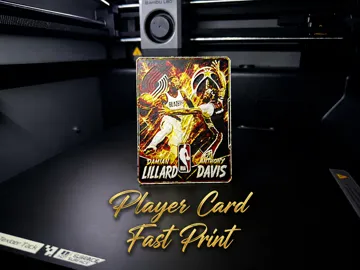 Modelo para impresión 3D: Damian Lillard & Anthony Davis Player Card — vista de referencia 3