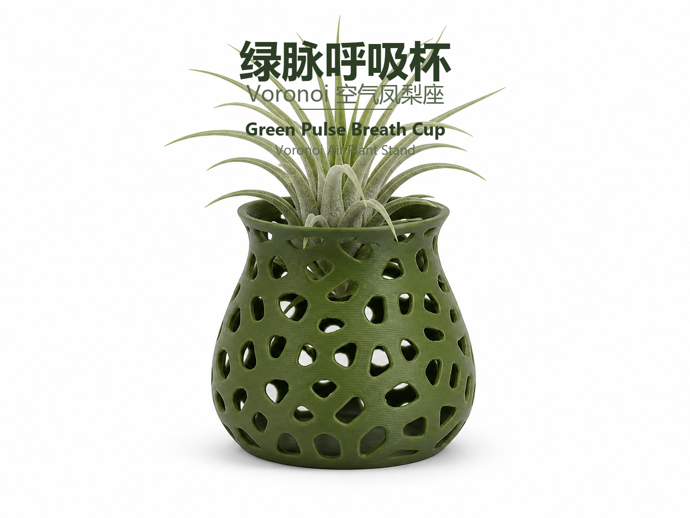 绿脉呼吸杯 — Voronoi 空气凤梨座
