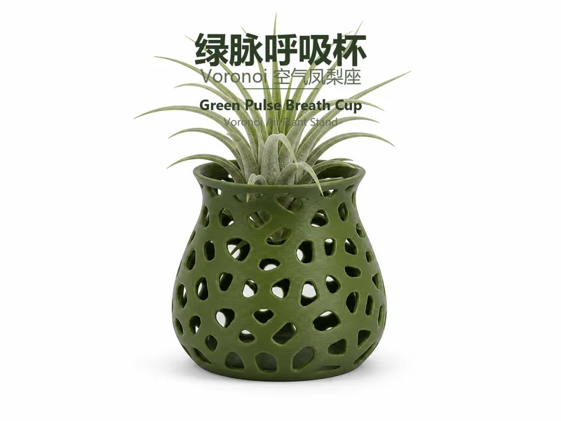 Green Pulse Breath Cup —— Voronoi Air Plant Stand