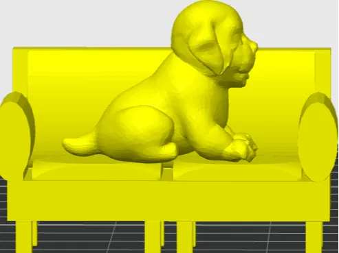dog sitting on a chair