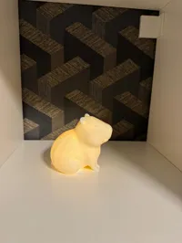 Lampe capybara lumineuse — photo 4