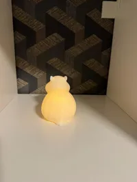 Lampe capybara lumineuse — photo 5