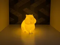 Lampe capybara lumineuse — photo 2