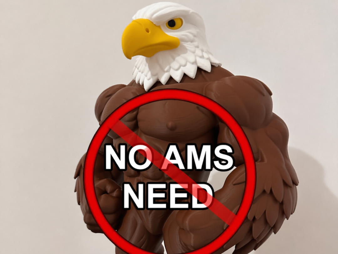 GigaChad Eagle / NO AMS