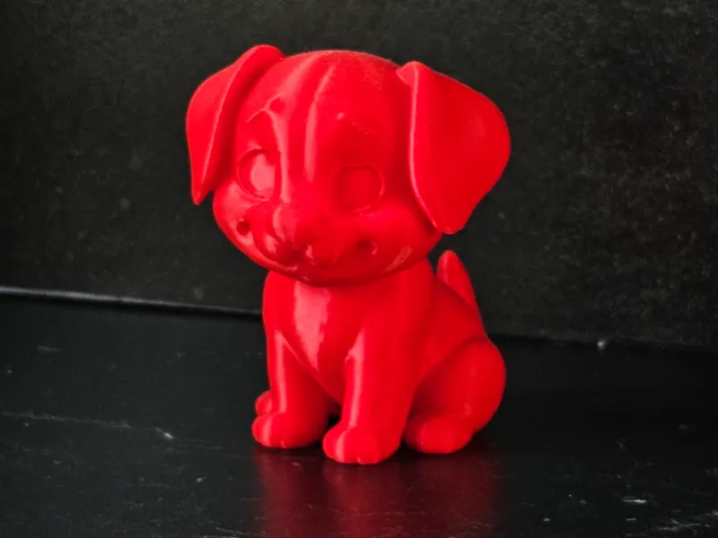 Cute Dog
