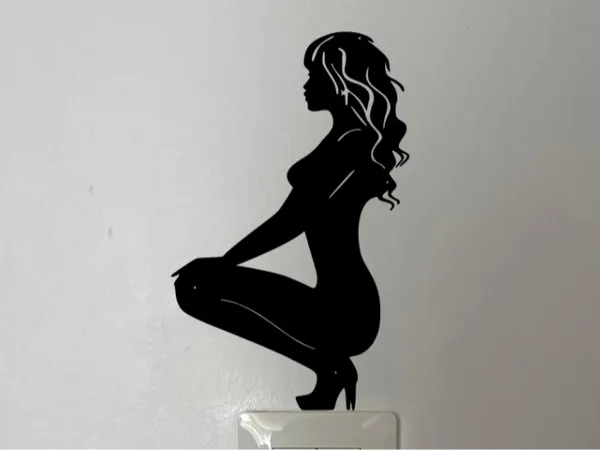 https://makerworld.bblmw.com/makerworld/model/USae9ff1680780d3/design/2024-08-10_9db449e57f07a8.jpg