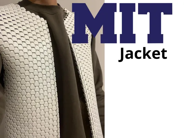 https://makerworld.bblmw.com/makerworld/model/USaea325d3d909b3/design/04cf301385ae763f.png