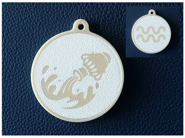 https://makerworld.bblmw.com/makerworld/model/USaea6100e8c8b0a/design/2025-01-12_cf4416d7686cf.jpg