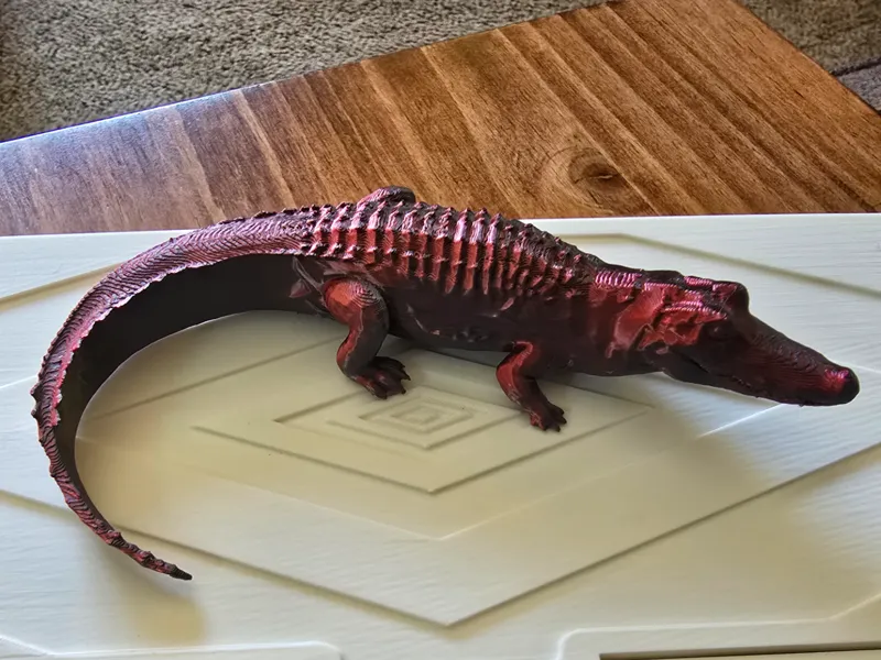 Alligator