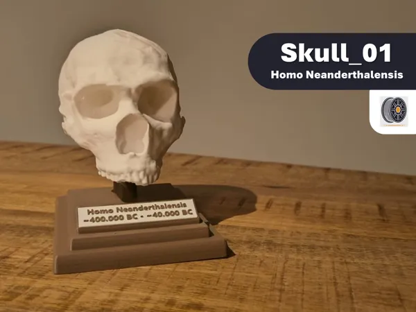 https://makerworld.bblmw.com/makerworld/model/USaea9fe1fe060b9/design/2024-11-15_39871a0540fba.png