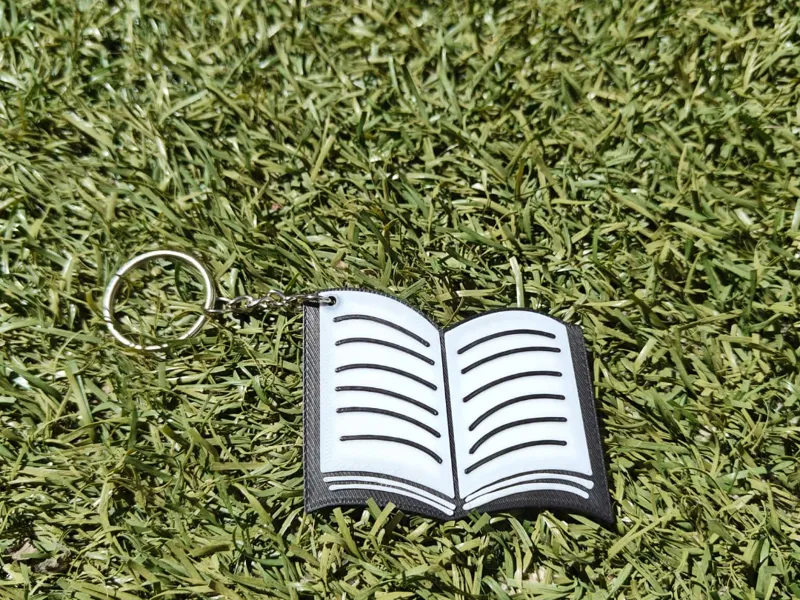 Libro de Sant Jordi