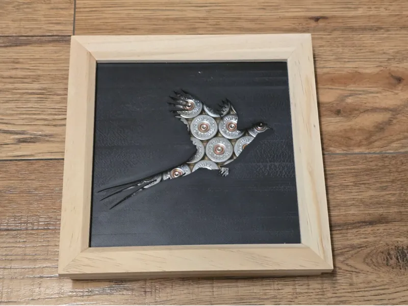 Pheasant Solute Picture