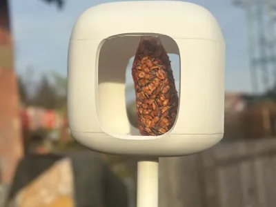 Bird feeder on the stick