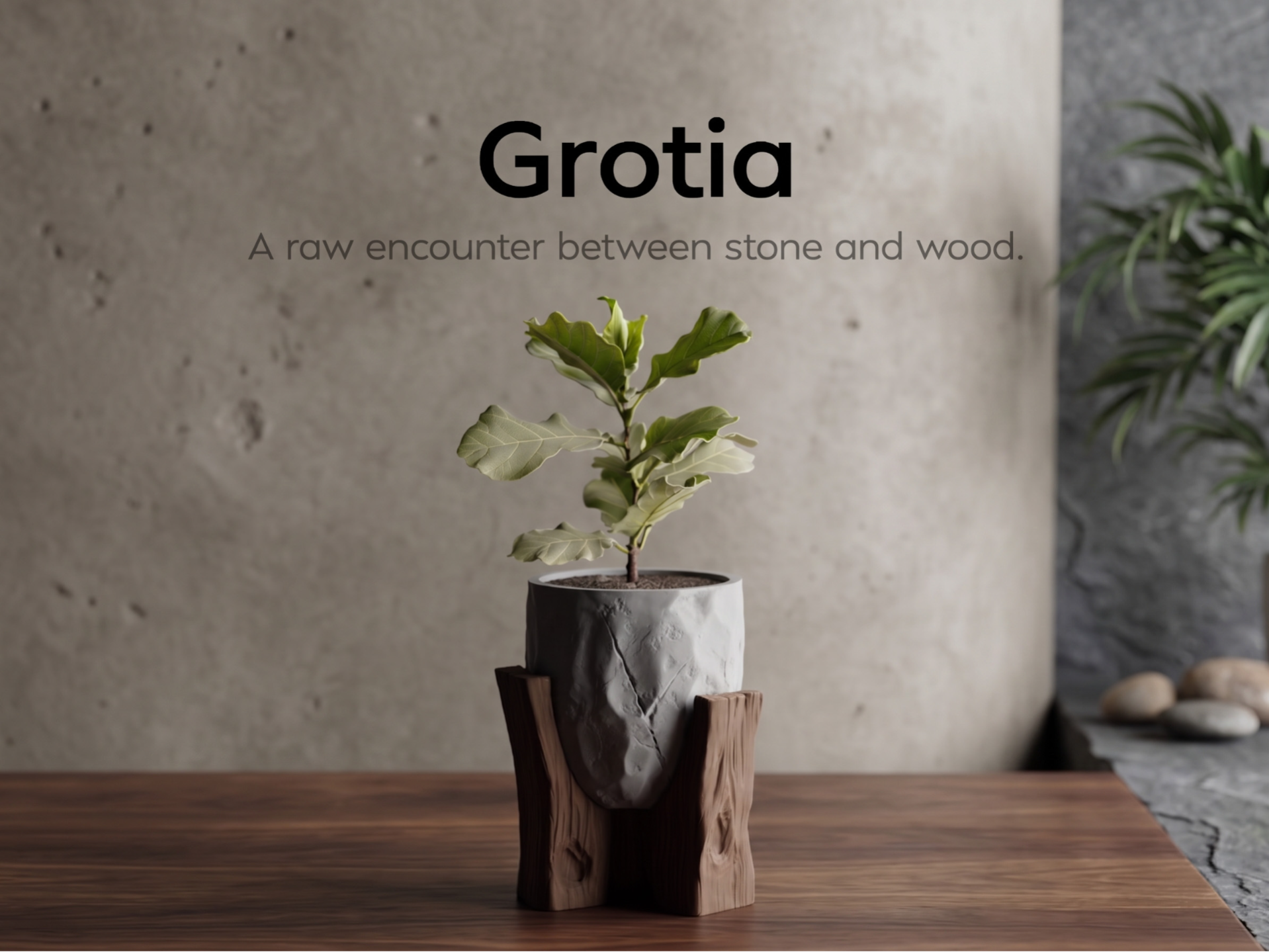 Grotia – A raw encounter between stone and wood.