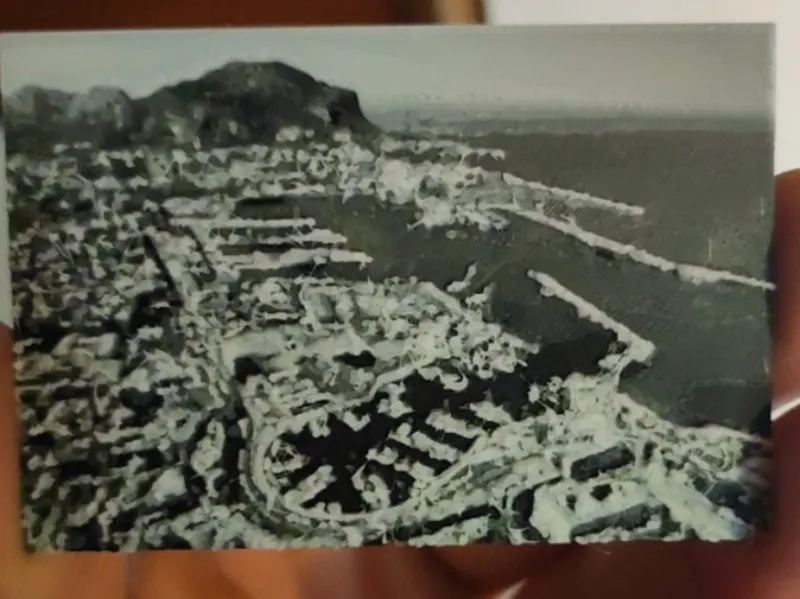 calamita ( porto di Palermo )