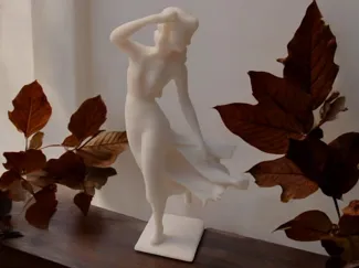 Girl in the wind