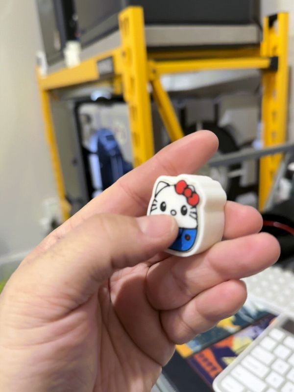 https://makerworld.bblmw.com/makerworld/model/USaeb5d64570ce89/design/2025-01-11_95cb7d0271e3.gif