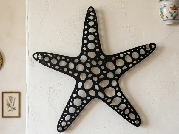 Étoile de mer Voronoi, déco murale