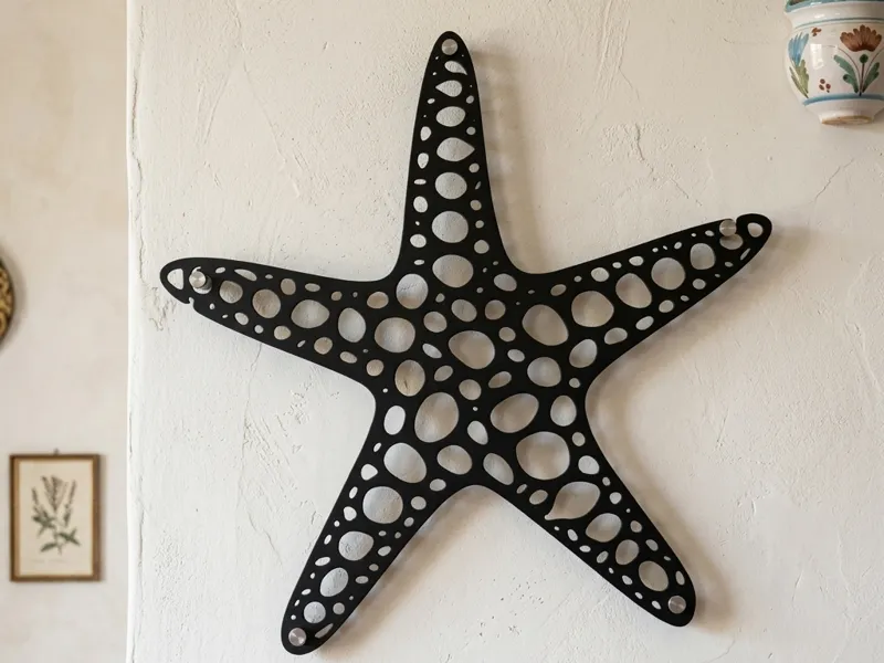 Stella Marina Voronoi - Decorazione da Parete