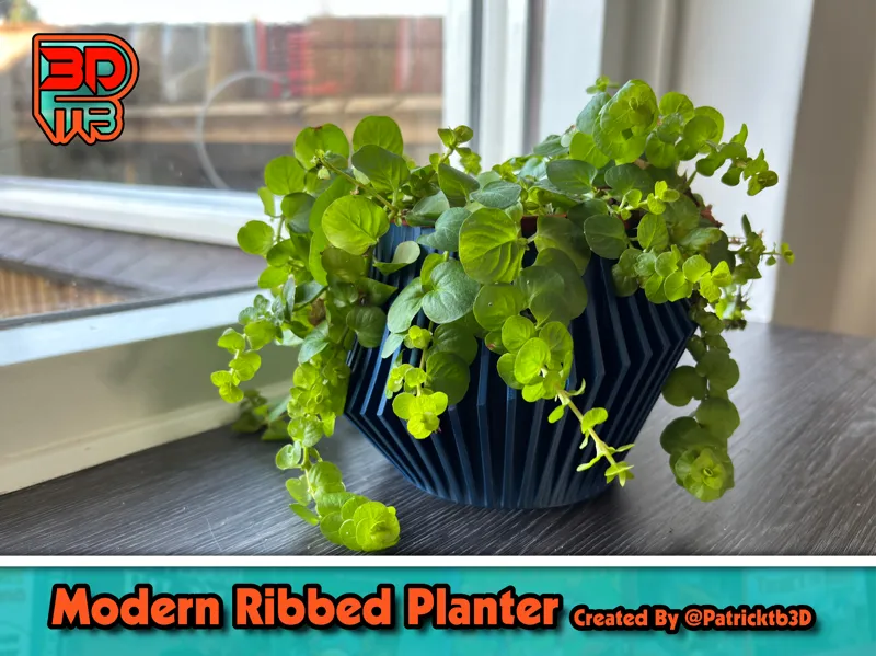 Modern Ribbed Planter