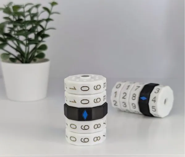 https://makerworld.bblmw.com/makerworld/model/USaebd5135a8c944/design/2024-12-09_c022912b744058.jpg