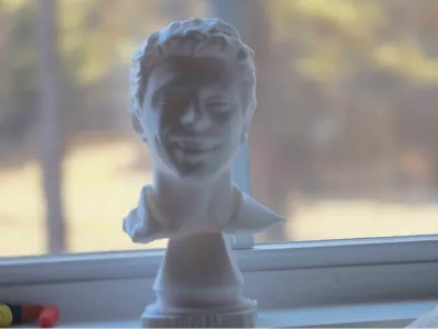 Luigi Bust