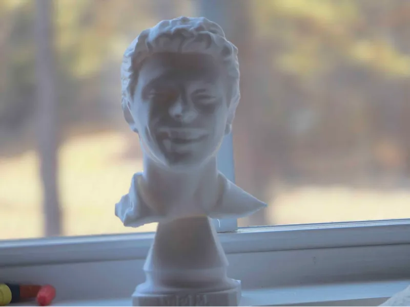 Luigi Bust