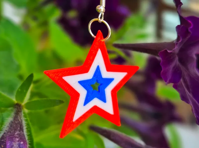Patriotic Earrings