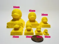 Canard Jeep — photo 10