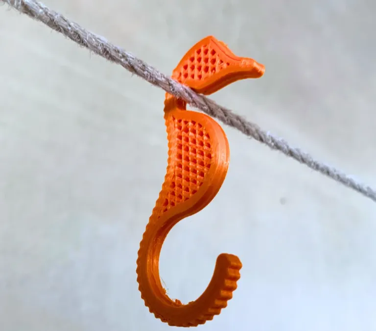 Hook sea horse