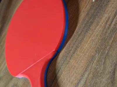 ping pong paddle 