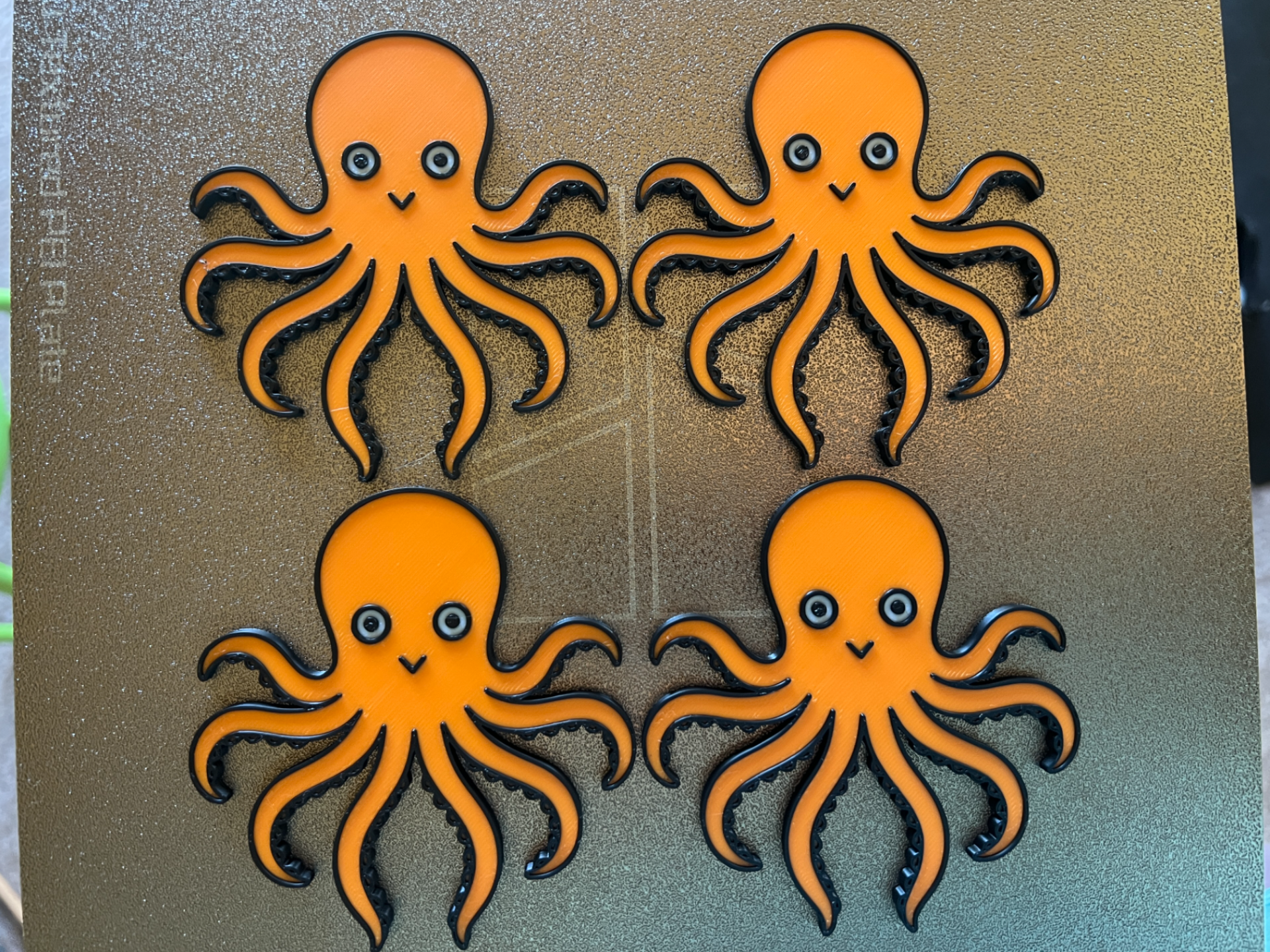 Octopus Secret Seahorse Tactile Story Prop