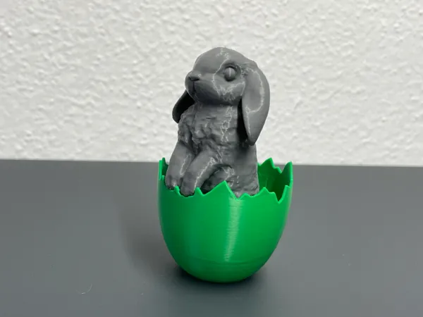https://makerworld.bblmw.com/makerworld/model/USaecbadc3af0f1c/design/2024-02-23_ba5718988849f.jpeg