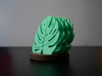 Monstera leaf cup | glass coaster