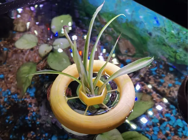 https://makerworld.bblmw.com/makerworld/model/USaecedafde8bb2f/design/ed7f56929744d256.jpeg