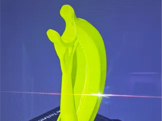 banana bunch holder