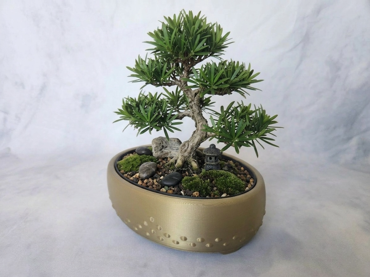 Bonsai planter