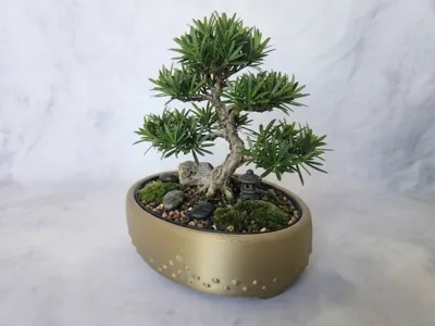 Bonsai planter